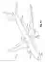 Fig. 02 - Landing gear toggle lock mechanism