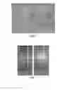 Fig. 07 - SILICA NANOSTRUCTURES, LARGE-SCALE FABRICATION METHODS, AND APPLICATIONS THEREOF