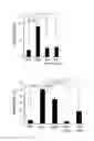 Fig. 10 - TRANS-RESVERATROL POLYSACCHARIDE, METHOD OF PRODUCING THE SAME, AND COMPOSITION COMPRISING THE SAME