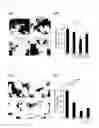 Fig. 12 - TRANS-RESVERATROL POLYSACCHARIDE, METHOD OF PRODUCING THE SAME, AND COMPOSITION COMPRISING THE SAME