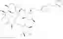 Fig. 149 - Macrocyclic Compounds And Methods Of Making And Using The Same