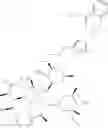 Fig. 294 - Macrocyclic Compounds And Methods Of Making And Using The Same