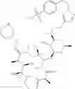 Fig. 320 - Macrocyclic Compounds And Methods Of Making And Using The Same
