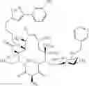 Fig. 445 - Macrolides with modified desosamine sugars and uses thereof