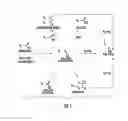 Fig. 02 - Use of excess carbodiimide for peptide synthesis at elevated temperatures