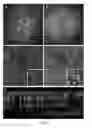 Fig. 04 - Compositions and methods for intravitreal delivery of polynucleotides to retinal cones