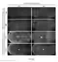 Fig. 10 - Compositions and methods for intravitreal delivery of polynucleotides to retinal cones