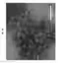 Fig. 07 - ENZYMATICALLY-CLEAVABLE PEPTIDE AMPHIPHILES