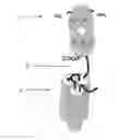 Fig. 01 - Single-chain CD40-receptor agonist proteins