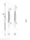 Fig. 07 - Transgenic chicken comprising an inactivated immunoglobulin gene