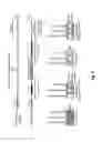 Fig. 08 - Transgenic chicken comprising an inactivated immunoglobulin gene