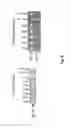 Fig. 09 - Transgenic chicken comprising an inactivated immunoglobulin gene