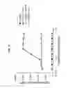 Fig. 27 - Nucleic acids encoding agonistic antibodies that bind CD40