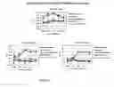 Fig. 28 - Epidermal growth factor receptor targeted/immunomodulatory fusion proteins and methods of use for them
