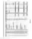 Fig. 40 - Epidermal growth factor receptor targeted/immunomodulatory fusion proteins and methods of use for them