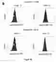 Fig. 08 - Cell line overexpressing human CD303 antigen