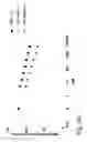 Fig. 03 - COMBINATION THERAPIES COMPRISING ANTI-ERBB3 AGENTS