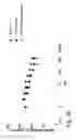Fig. 07 - COMBINATION THERAPIES COMPRISING ANTI-ERBB3 AGENTS