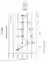 Fig. 08 - Anti-CD38 antibodies