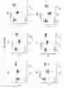 Fig. 09 - Anti-CD38 antibodies