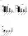 Fig. 09 - ACETYLATED PCSK9