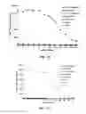 Fig. 22 - Methods using antibodies specific for 4,6-diamino-5-(formamido)pyrimidine