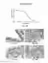 Fig. 24 - Methods using antibodies specific for 4,6-diamino-5-(formamido)pyrimidine