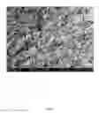 Fig. 02 - Methods for biobased derivatization of cellulosic surfaces