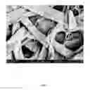 Fig. 03 - Methods for biobased derivatization of cellulosic surfaces
