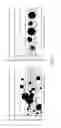 Fig. 02 - SPRAY COMPOSITIONS, SPRAYABLE PRODUCTS, AND METHODS OF TREATING A SURFACE WITH THE SAME