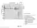 Fig. 22 - METHODS OF PURIFYING ADENO-ASSOCIATED VIRUS (AAV) AND/OR RECOMBINANT ADENO-ASSOCIATED VIRUS (rAAV) AND GRADIENTS AND FLOW-THROUGH BUFFERS THEREFORE