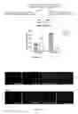 Fig. 02 - RNA interference mediated therapy for neurodegenerative diseases