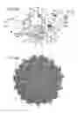 Fig. 09 - Adeno-associated virus variants and methods of use thereof