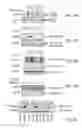 Fig. 07 - NUCLEAR TARGETING SEQUENCES