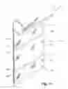 Fig. 08 - Collapsible vane structure and related method for a shade for an architectural opening