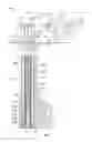 Fig. 02 - Wellbore plug and abandonment