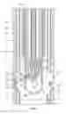 Fig. 06 - Wellbore plug and abandonment
