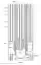 Fig. 09 - Wellbore plug and abandonment
