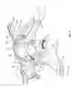 Fig. 03 - Steering Knuckle With Integrated Brake Mounting Provisions