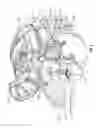 Fig. 09 - Steering Knuckle With Integrated Brake Mounting Provisions