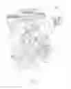 Fig. 02 - Torsional vibration damper and engine assembly including the same