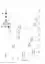 Fig. 06 - METHOD OF MAPPING GLYCANS OF GLYCOPROTEINS