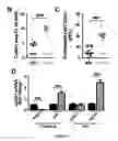 Fig. 06 - Compositions and Methods for Identifying and Modulating Metabolic Health