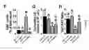 Fig. 08 - Compositions and Methods for Identifying and Modulating Metabolic Health