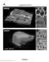 Fig. 09 - Compositions and Methods for Identifying and Modulating Metabolic Health