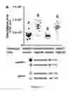 Fig. 40 - Compositions and Methods for Identifying and Modulating Metabolic Health