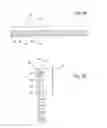 Fig. 04 - Microdispensing device and automatic microdispensing process