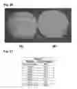 Fig. 19 - Index matching layers