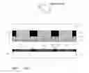 Fig. 01 - LTPS DISPLAY PANEL AND MANUFACTURE METHOD THEREOF