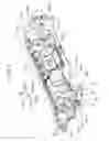 Fig. 06 - Image forming apparatus